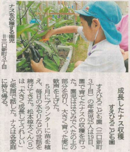 2023.6.20ナス収穫