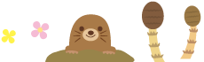 園の生活リズム