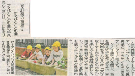 2025.4.29夏野菜の苗植え