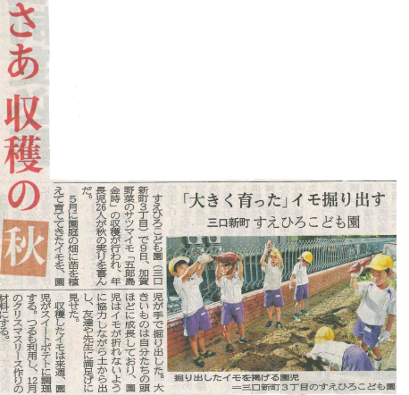 2025.9.10サツマイモ掘り