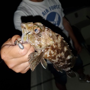 20230811_234707_コピー