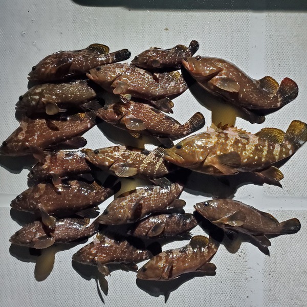 20231206_221105_コピー