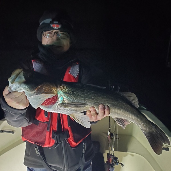 20231223_001855_コピー