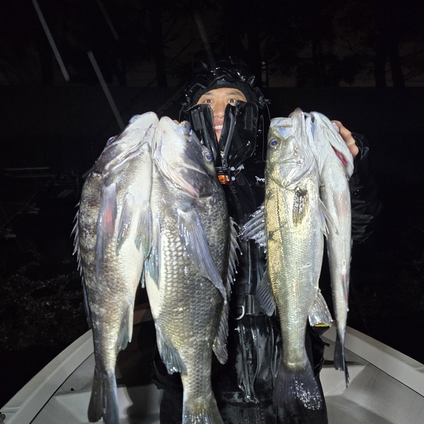 20250303_003011_コピー