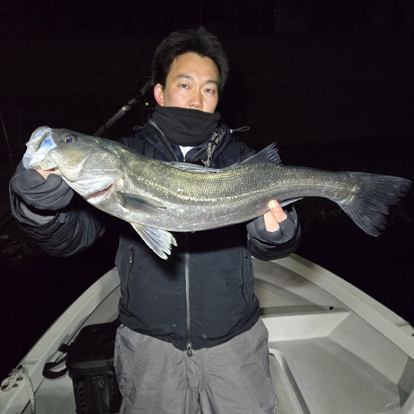 20250309_000134_コピー