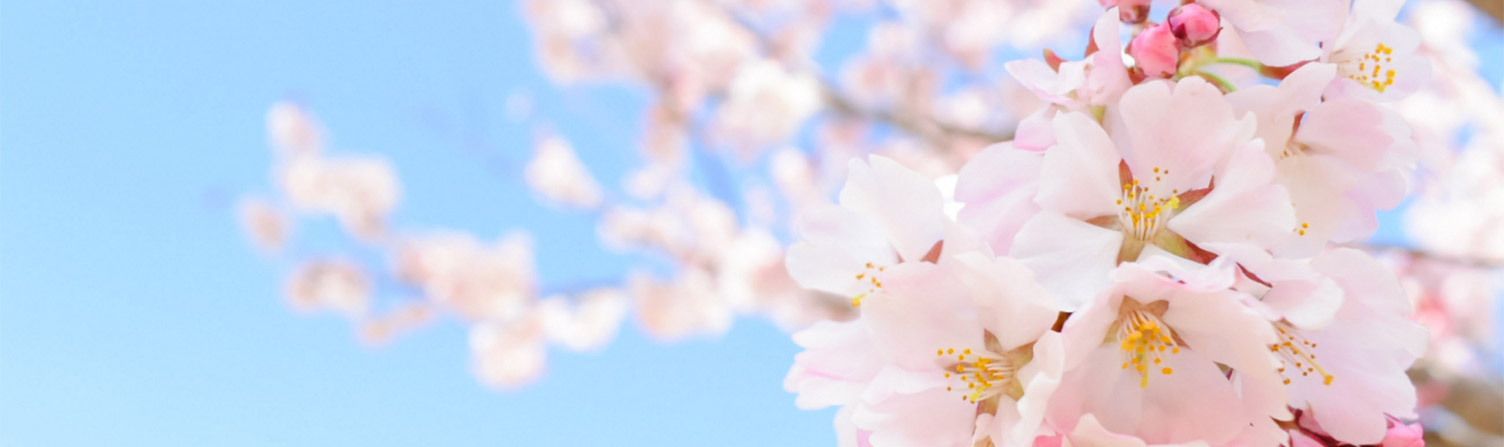 合格体験記|泉野塾