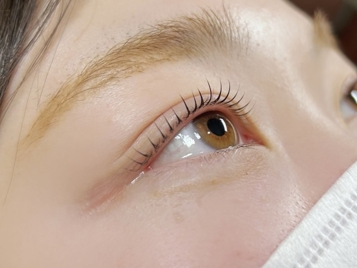 シンプリシティ