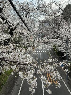 487428283_1189398816315730_5840116349056550725_n_コピー