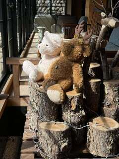 487464158_2873271136166636_1892122346307444204_n_コピー