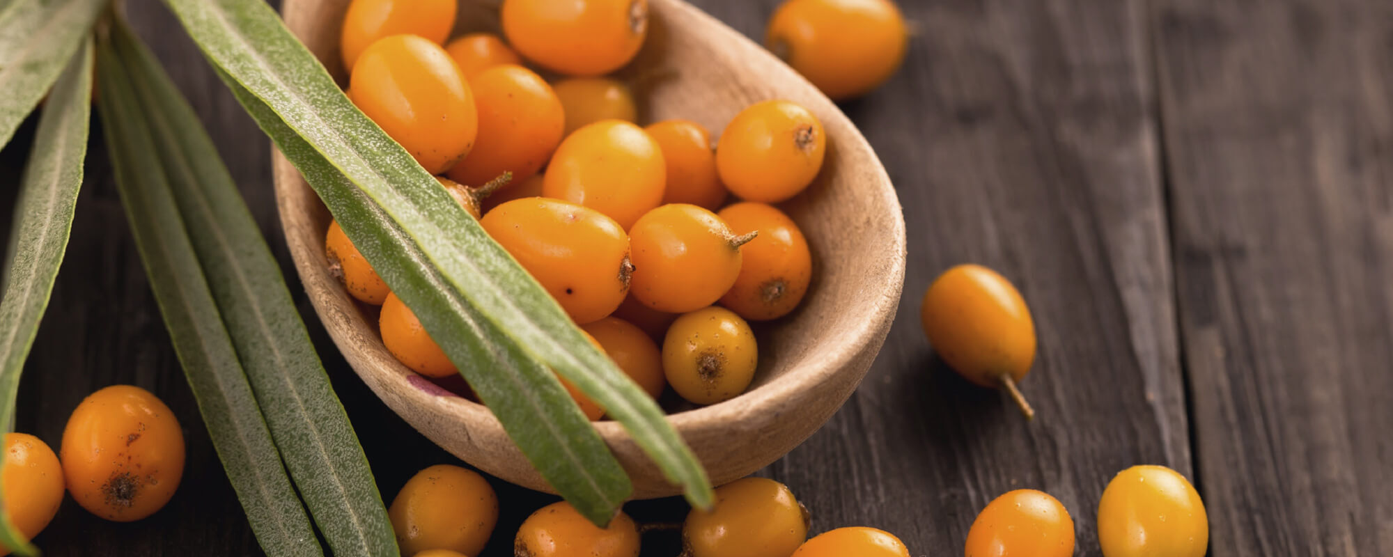 シーバックソーンベリー