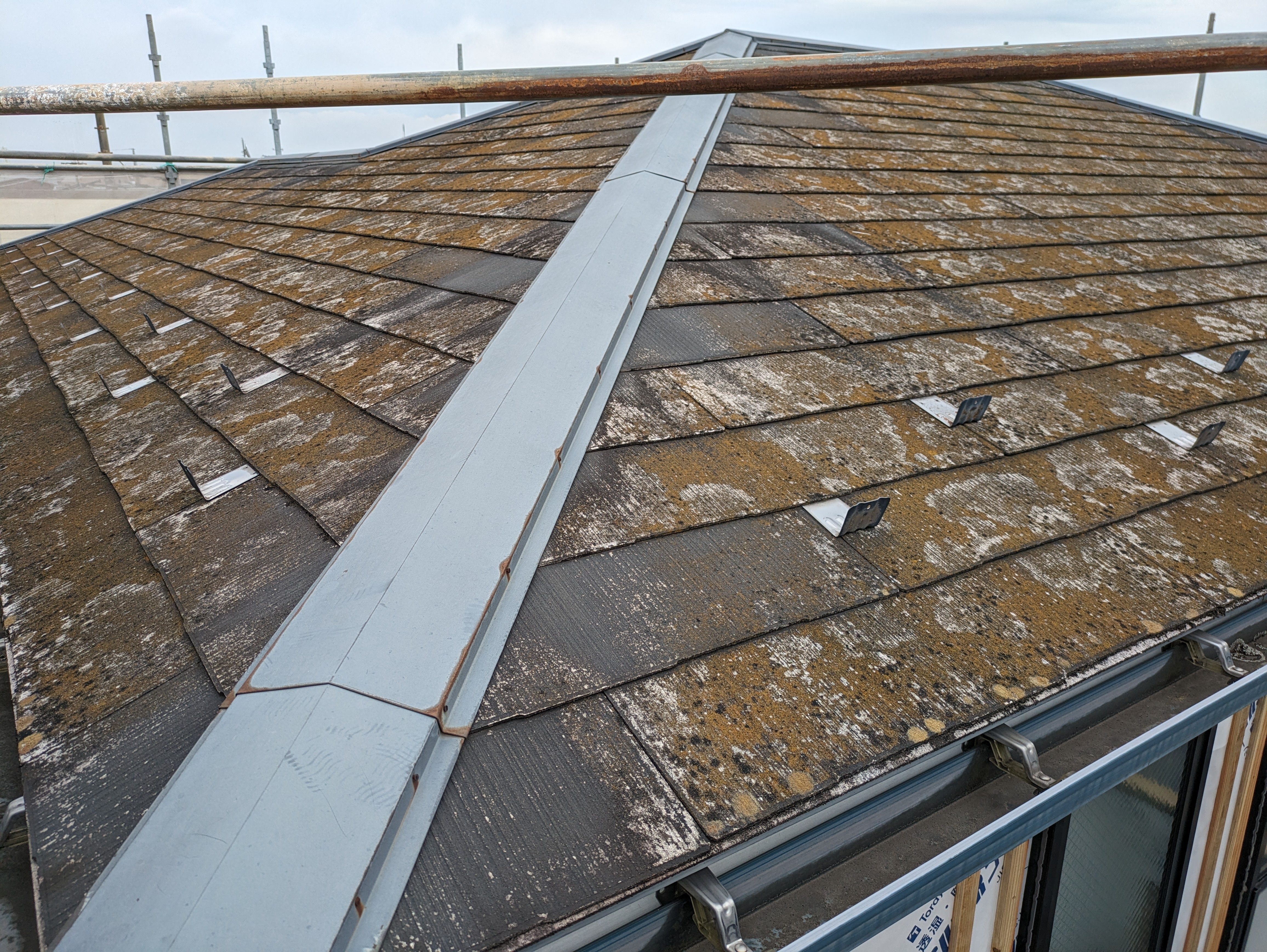 PXL_20240613_012417437