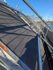 PXL_20241203_004209048