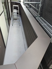 PXL_20250124_235909691