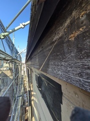 PXL_20241203_004119288