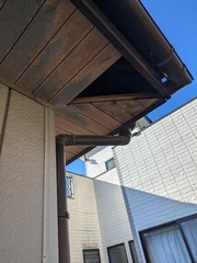 PXL_20250207_050609544.MP