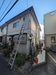 PXL_20250207_052038968