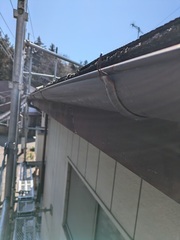 PXL_20250310_021326432