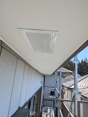 PXL_20250310_021825699