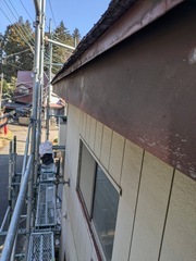 PXL_20250310_063239625