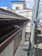 PXL_20250317_031803592