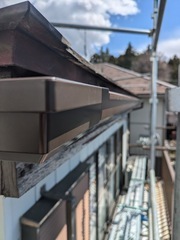 PXL_20250317_031856120.MP