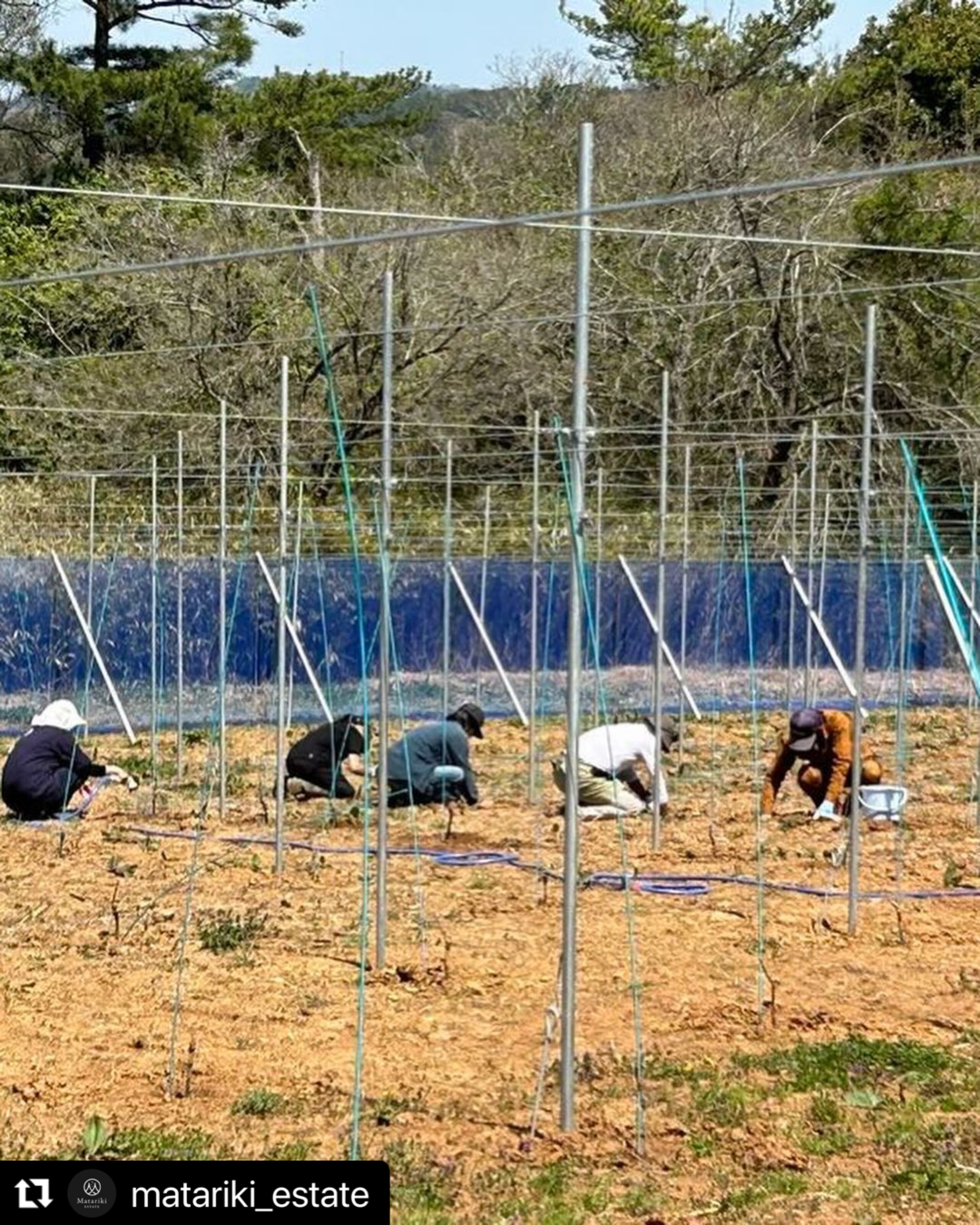 B0822F51-5005-49CB-A738-6796D6BAAB39