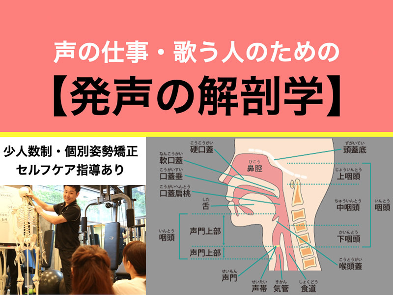 声優・ナレーター・ボーカル発声改善の解剖学コース2