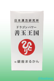 ドラゴンパワー 善玉王国