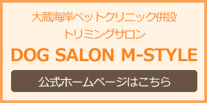 salon_bnr