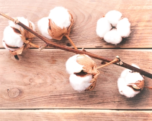 Focus 6.内装-⑦_resize