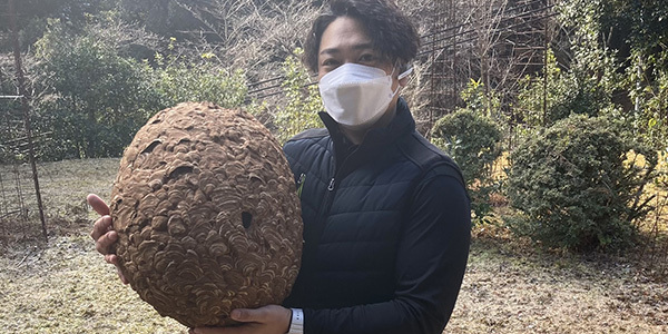蜂の巣駆除