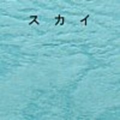 スカイ