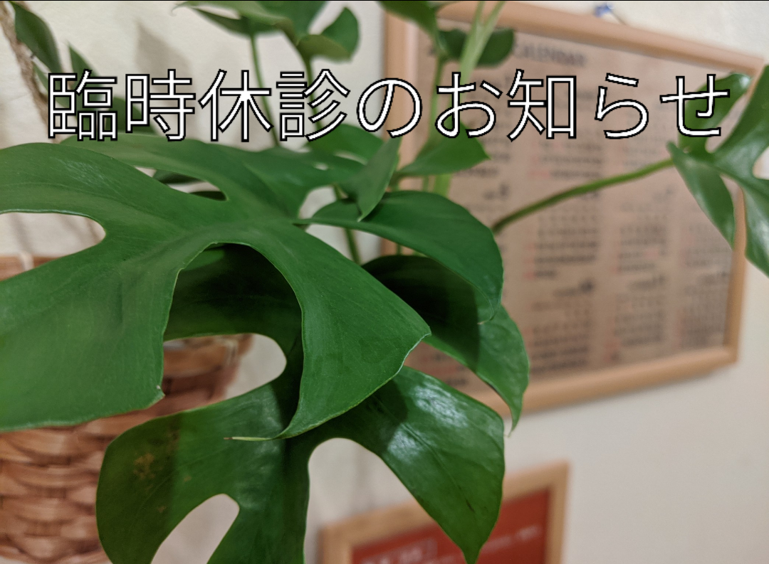 臨時休診 (1)