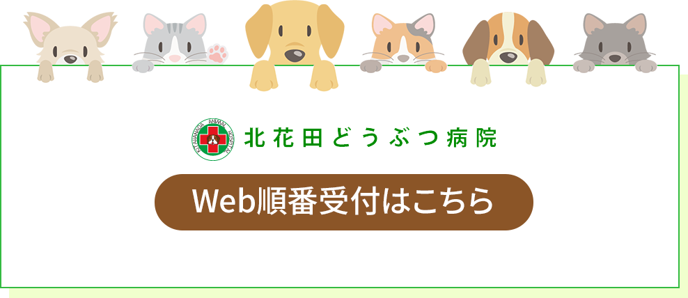 Web順番受付はこちら
