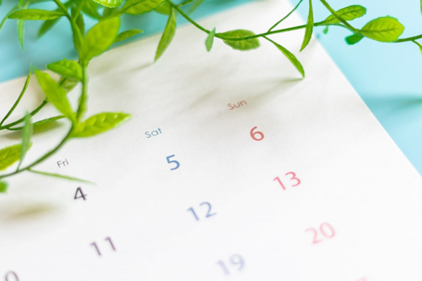 4-1か月後、チェックにご来院ください