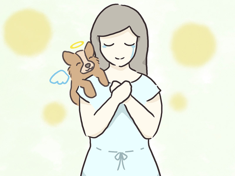 おほしさまセッション