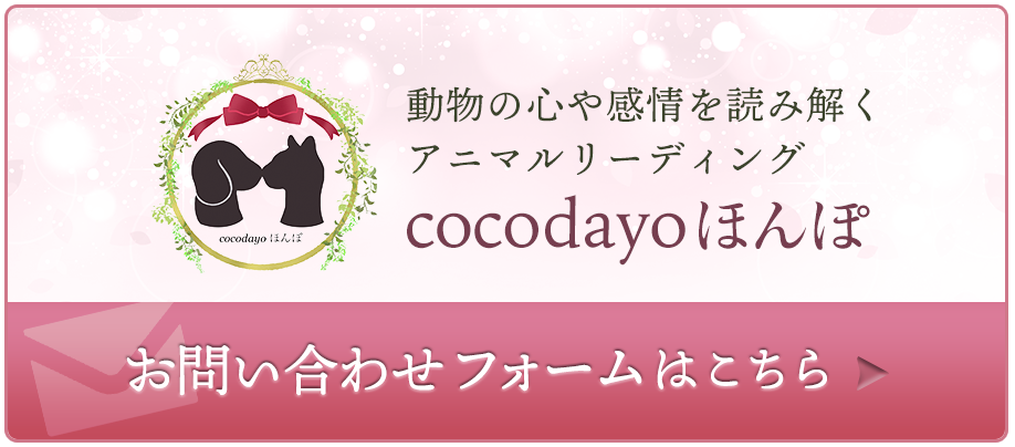 cocodayoほんぽ|お問い合わせフォーム