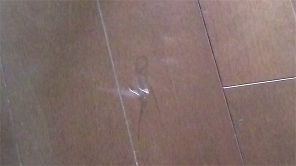 フローリングキズリペア前