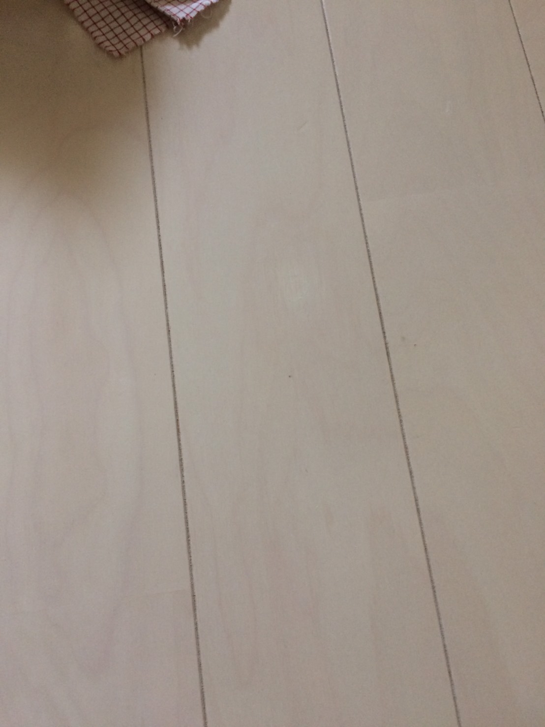 フローリング②After