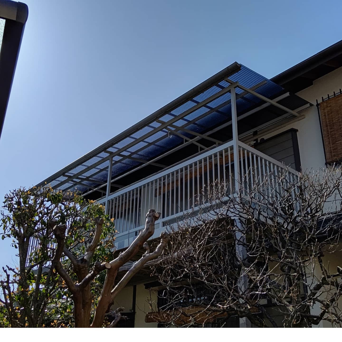 IMG_20210601_175551_298