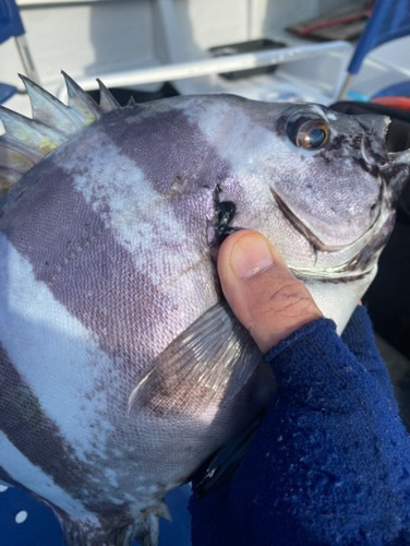 0D9A3A1D-F5D3-4148-BFC1-1626077C91AA