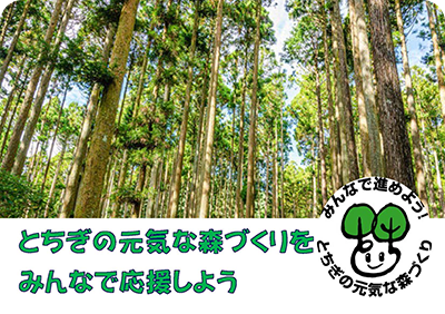 とちぎの元気な森づくりバナー