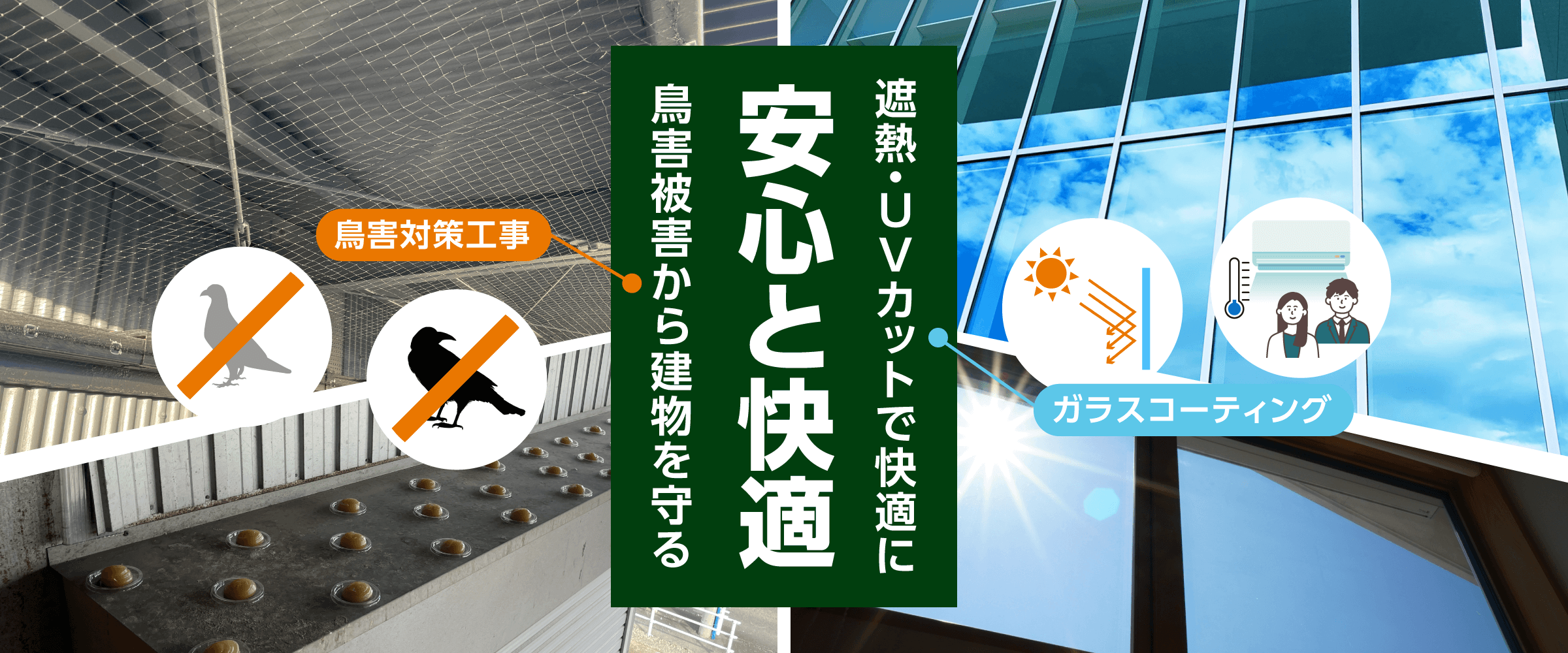 鳥害対策とガラスコーティングで建物を守る