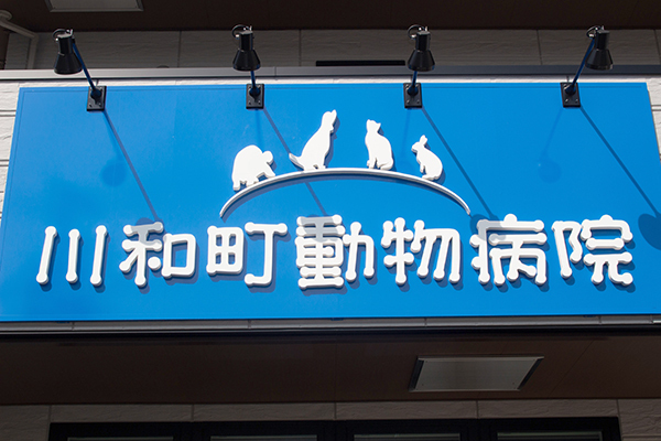 川和町動物病院ってどんな病院?