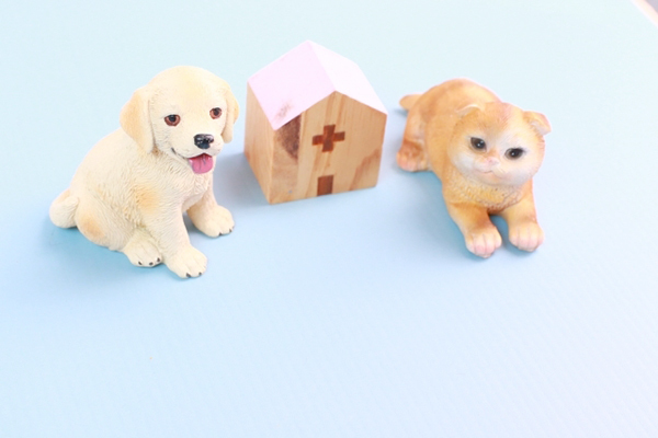 地域のホームドクター