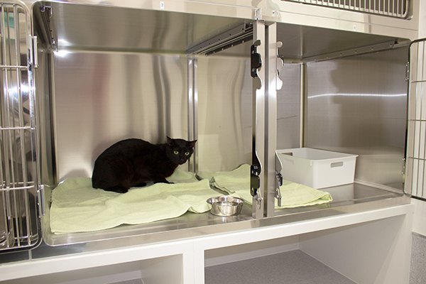 ペットホテル06