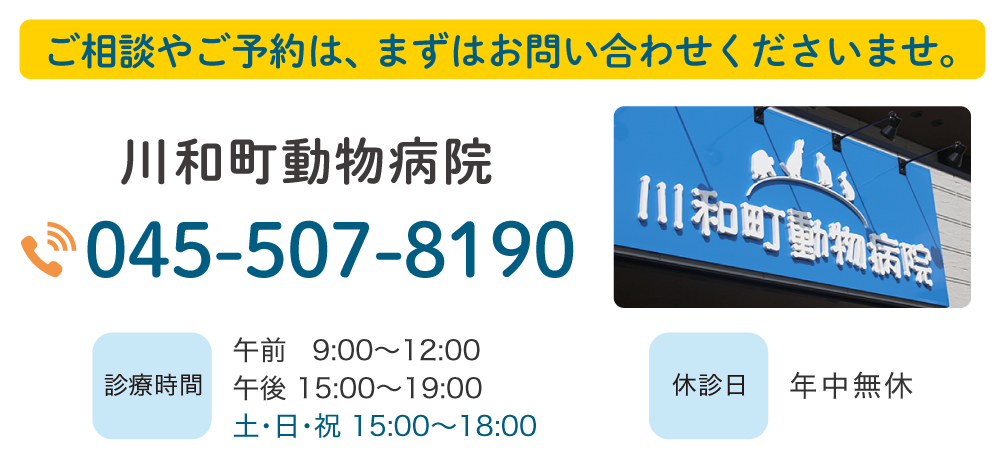 ご予約・お問い合わせ