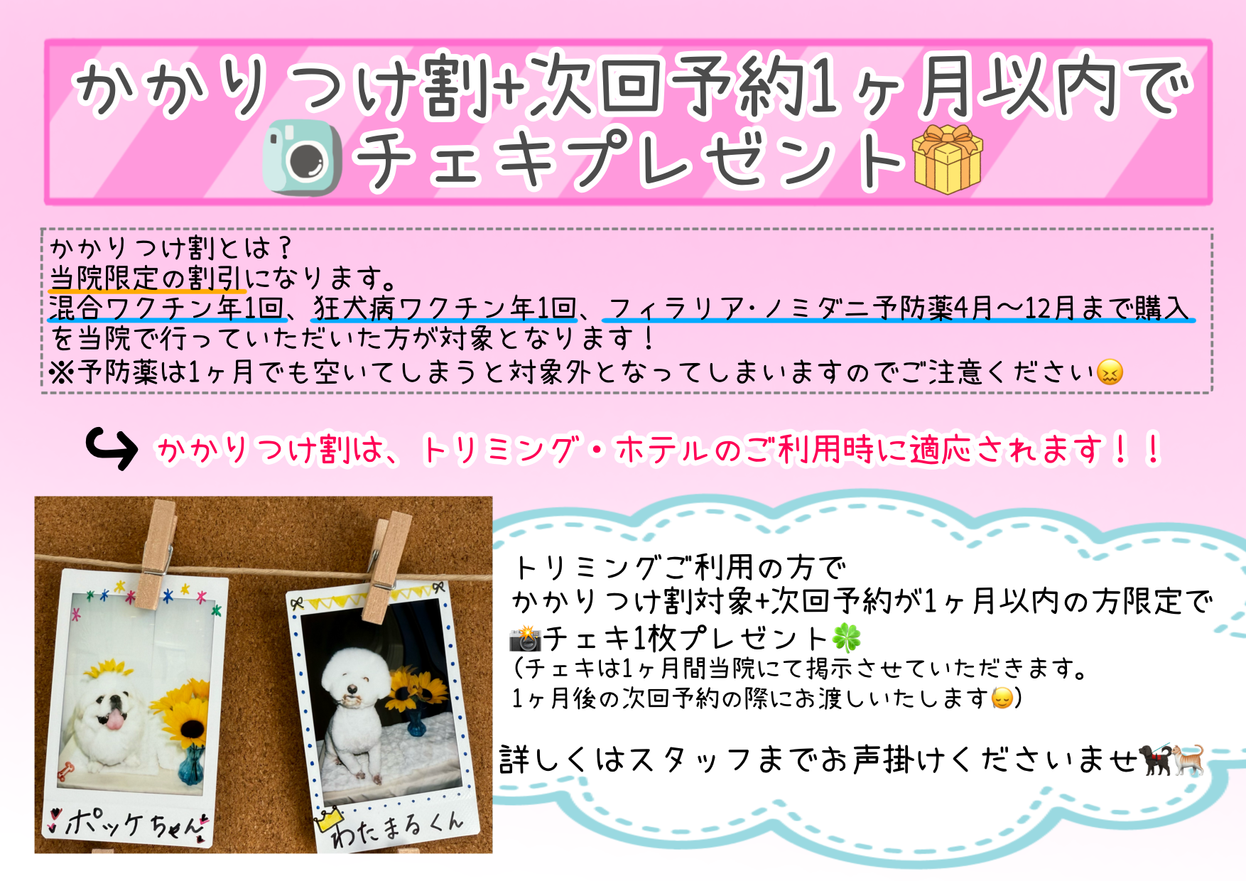 無題29_20250902114545