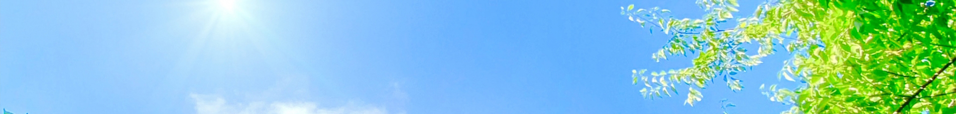 05_bg