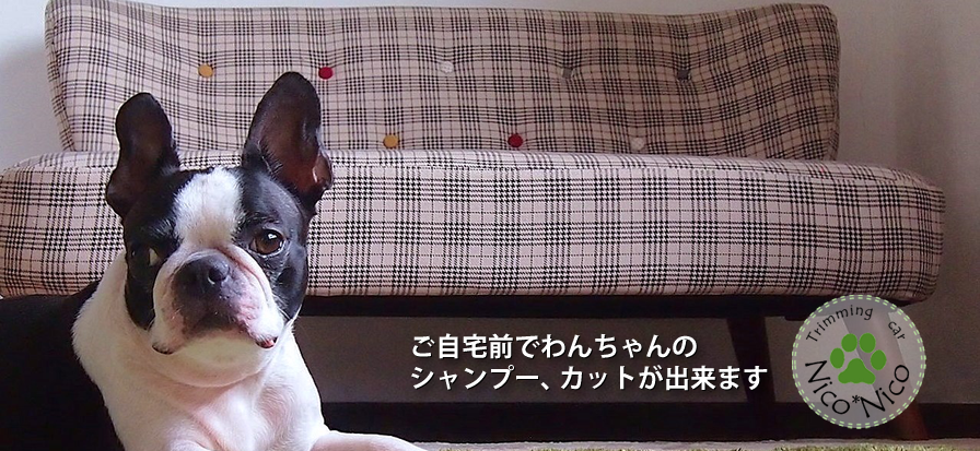 ご自宅前でわんちゃんのシャンプー、カットが出来ます